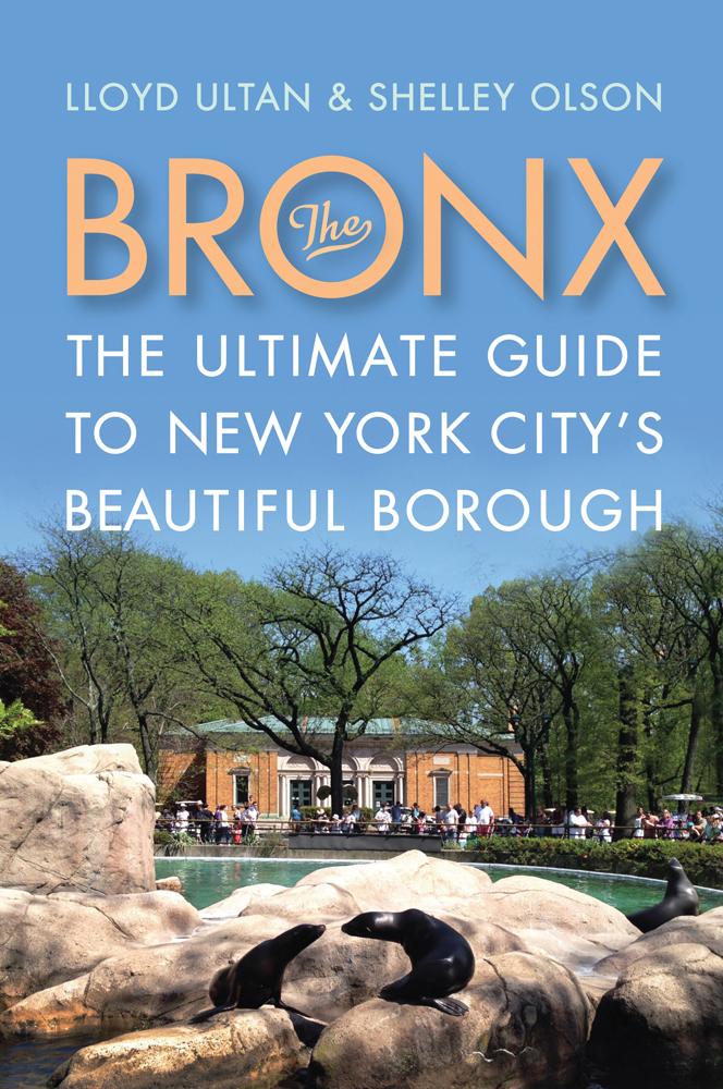 Vorderes Coverbild The Bronx
