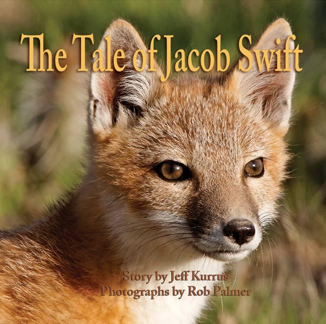 Vorderes Coverbild The Tale of Jacob Swift