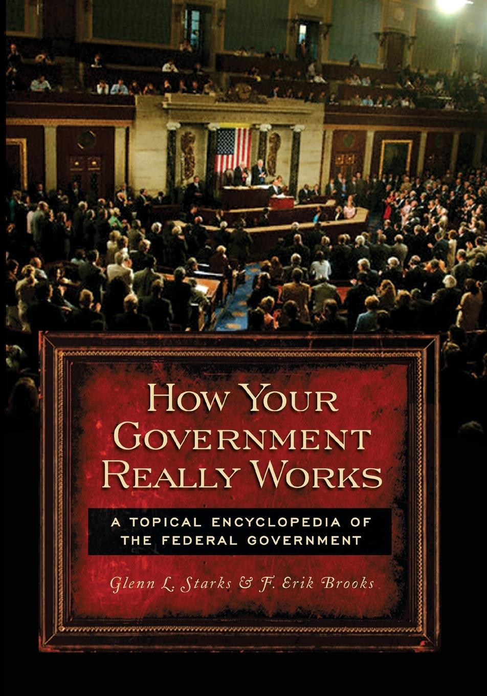 Vorderes Coverbild How Your Government Really Works