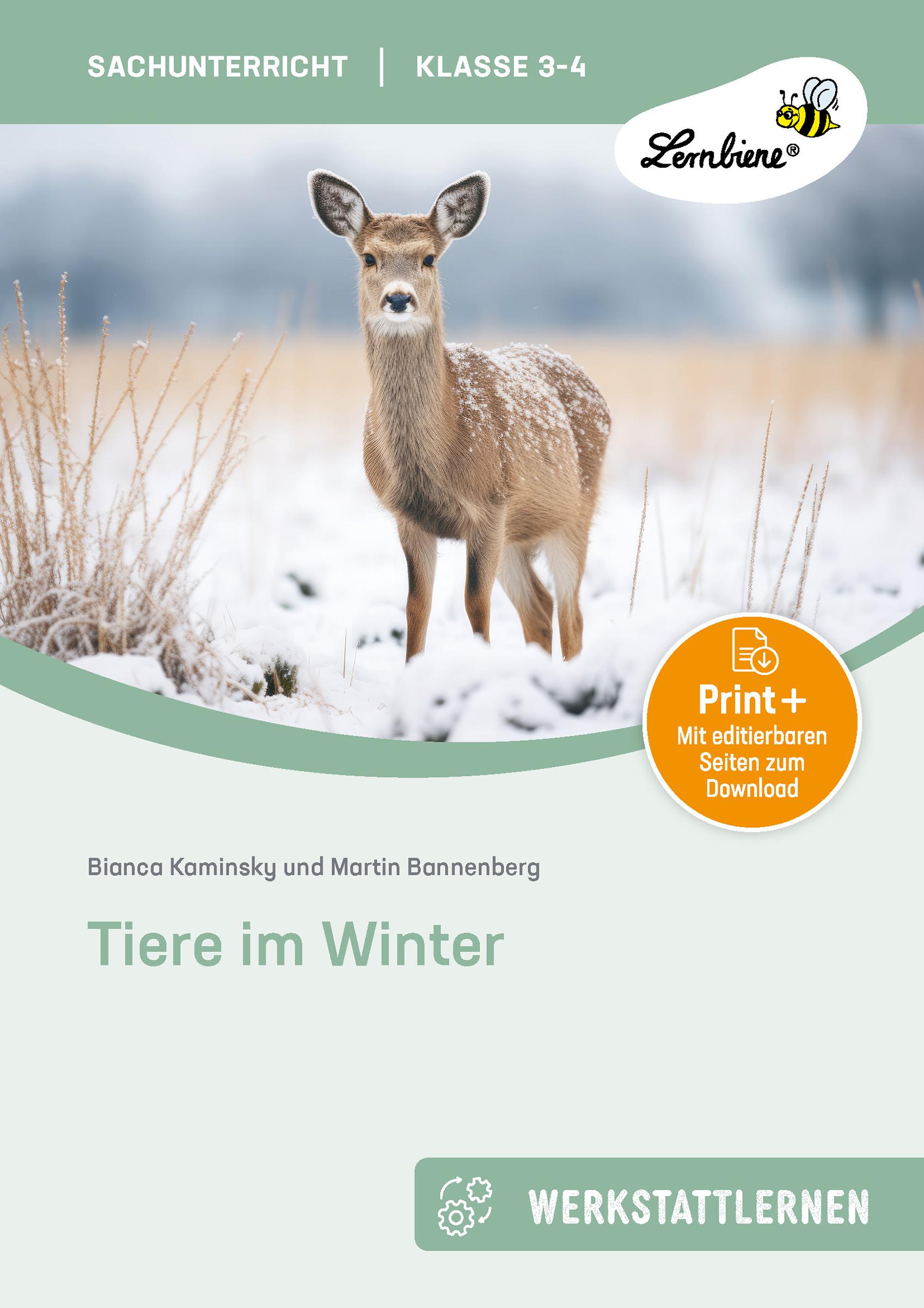 Vorderes Coverbild Tiere im Winter