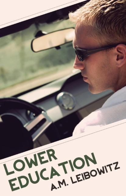 Vorderes Coverbild Lower Education