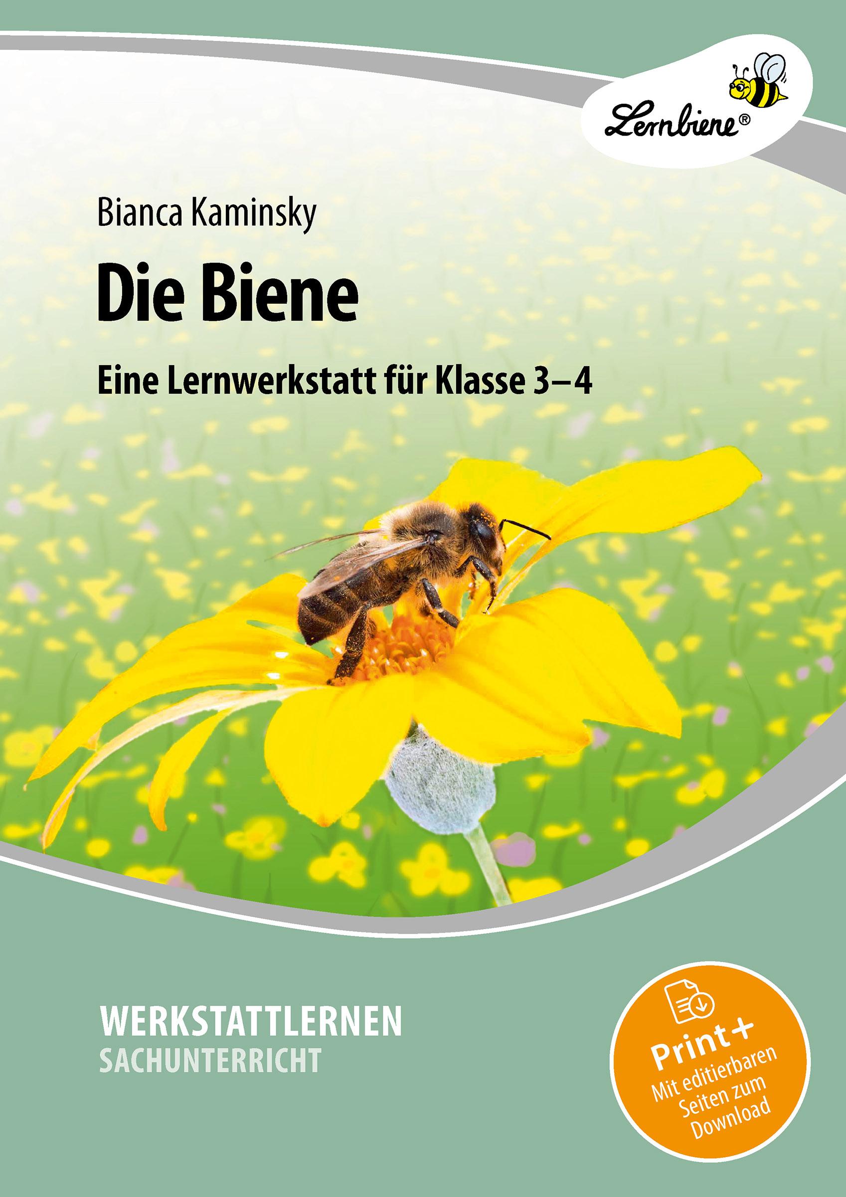 Vorderes Coverbild Die Biene. Grundschule, Sachunterricht, Klasse 3-4