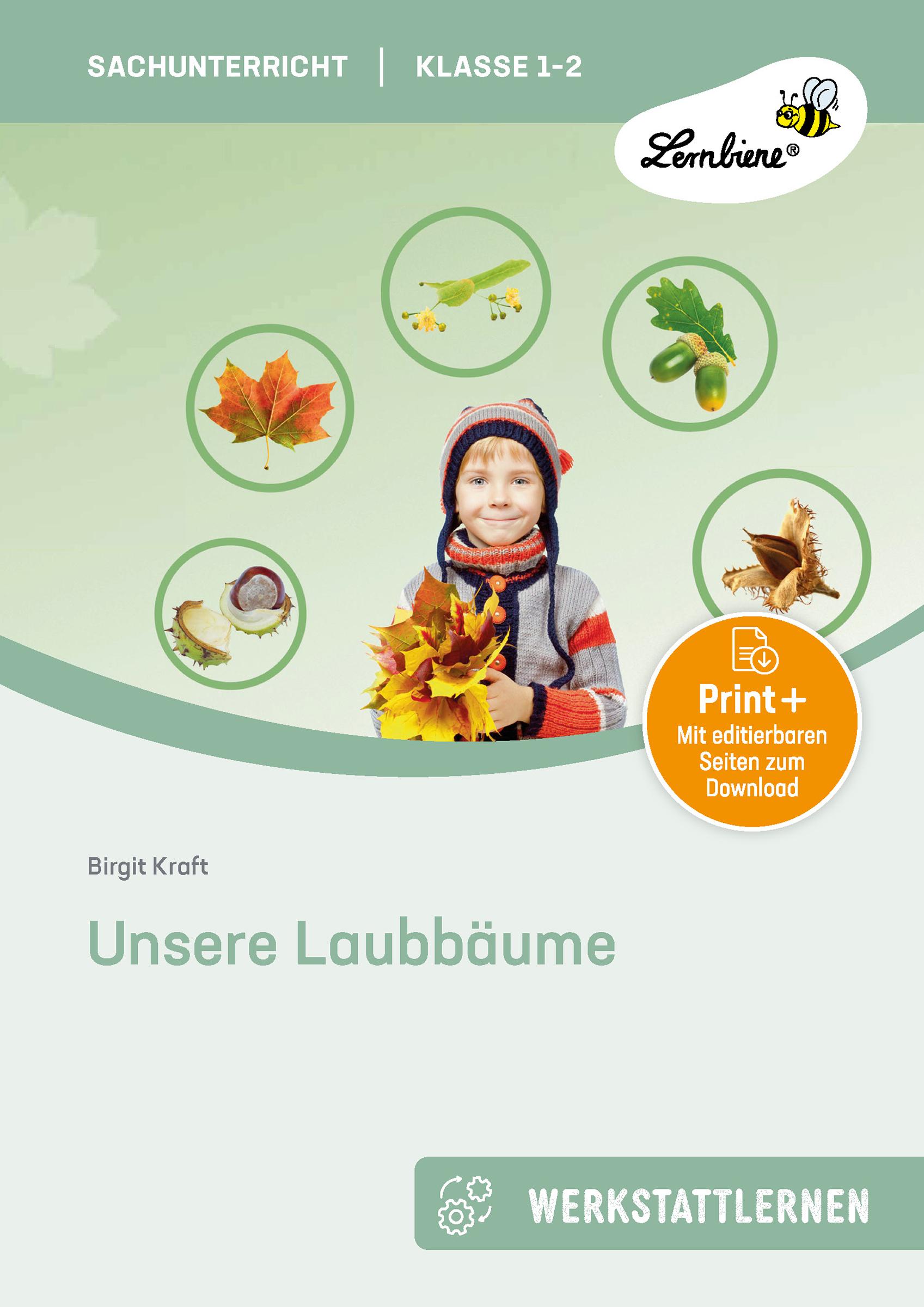 Vorderes Coverbild Unsere Laubbäume. Grundschule, Sachunterricht, Klasse 1-2