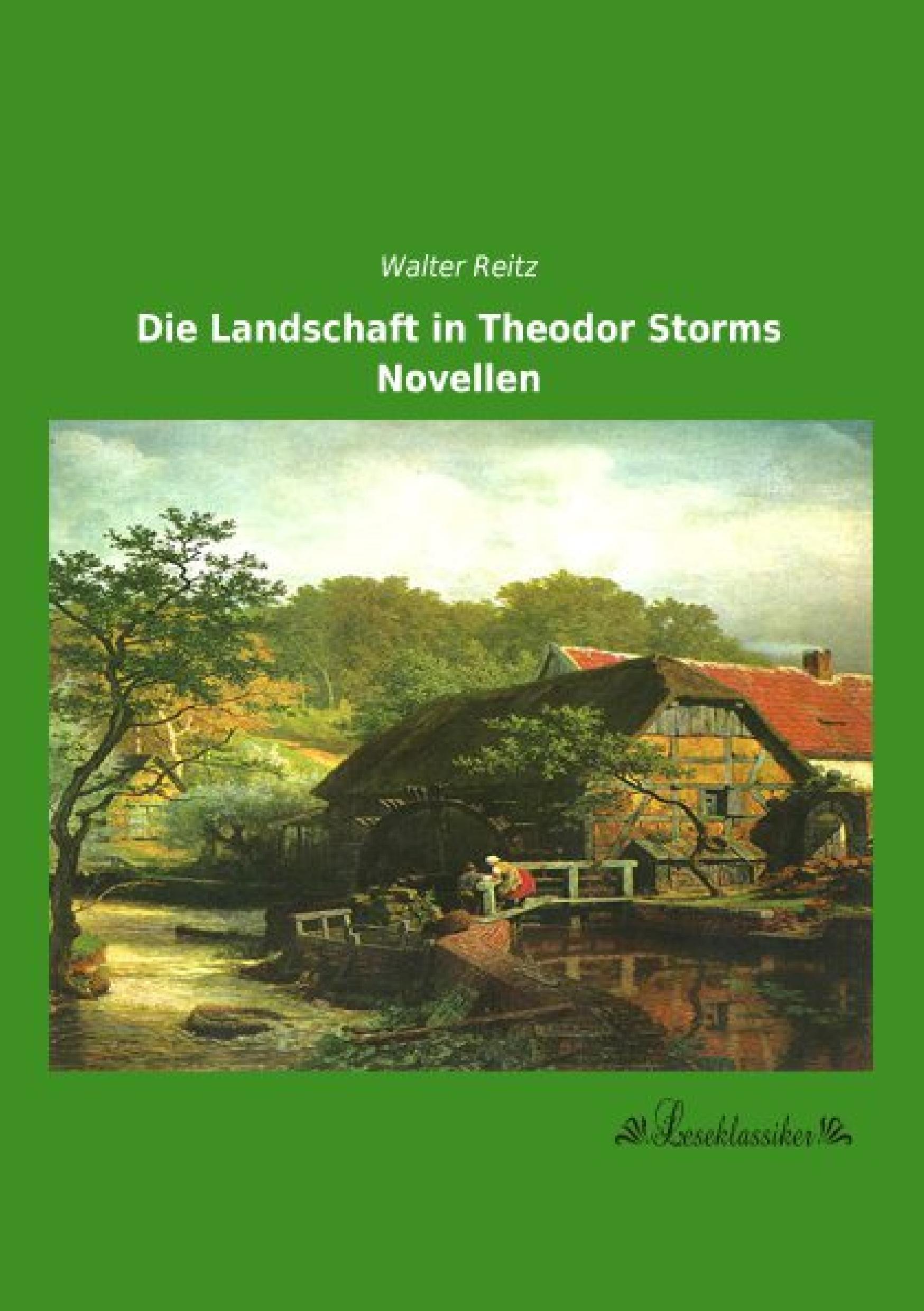 Vorderes Coverbild Die Landschaft in Theodor Storms Novellen