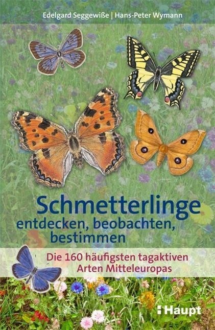 Vorderes Coverbild Schmetterlinge entdecken, beobachten, bestimmen