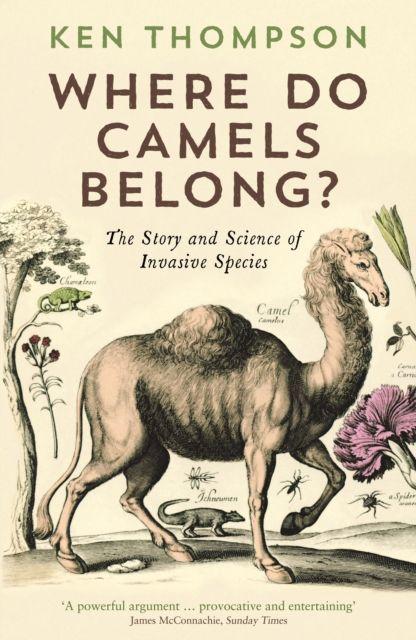 Vorderes Coverbild Where Do Camels Belong?
