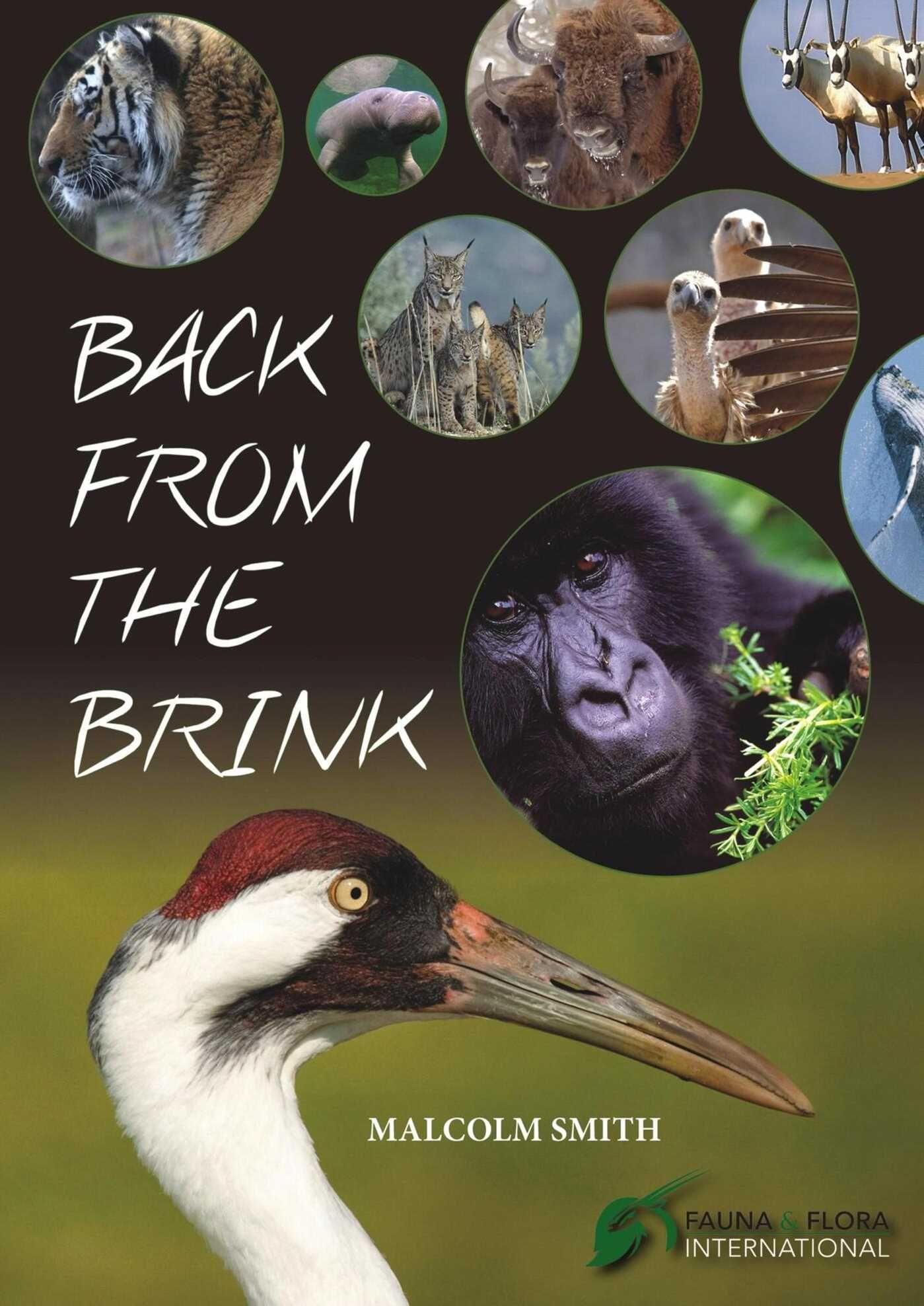 Vorderes Coverbild Back from the Brink