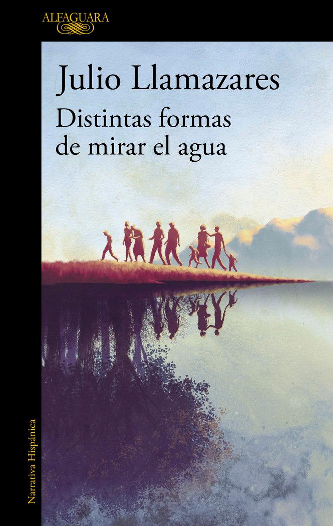 Vorderes Coverbild Distintas formas de mirar el agua