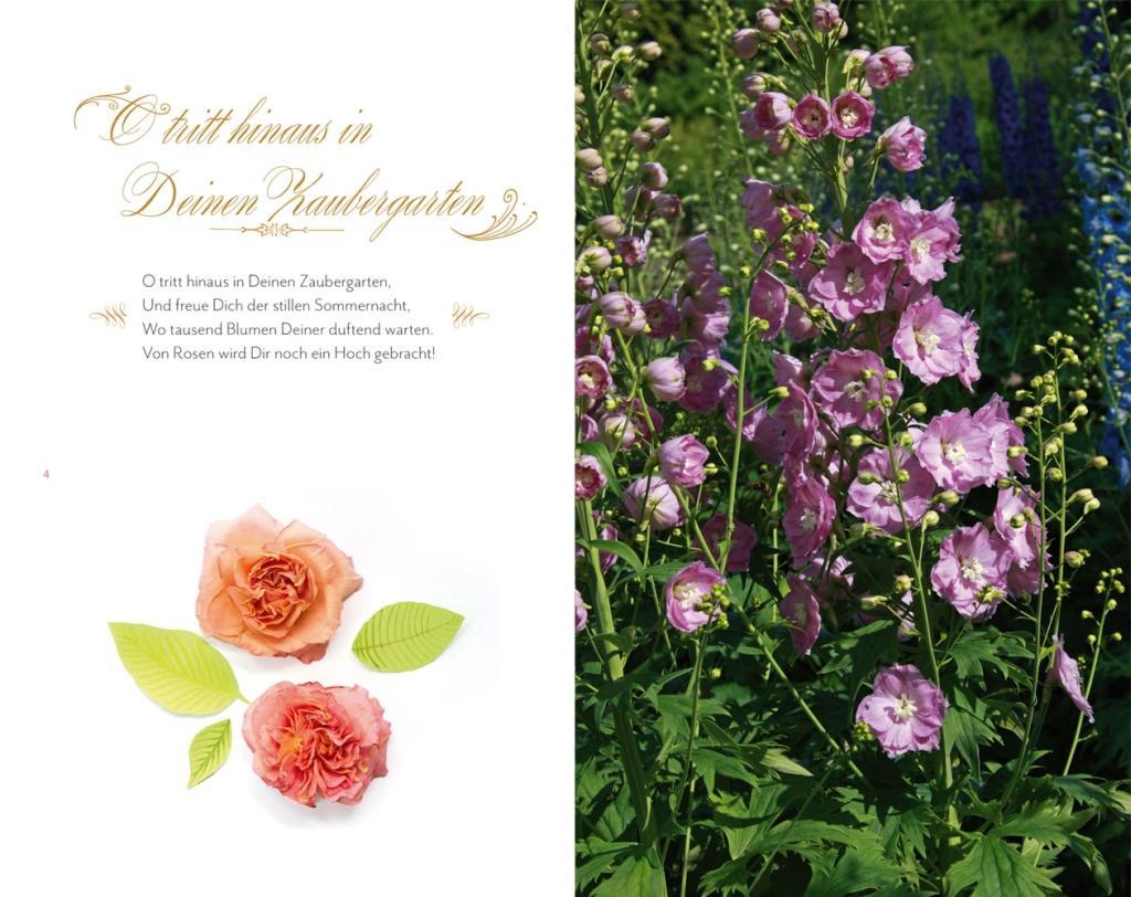 Beispielinhalt (Bild) In Sisis Garten