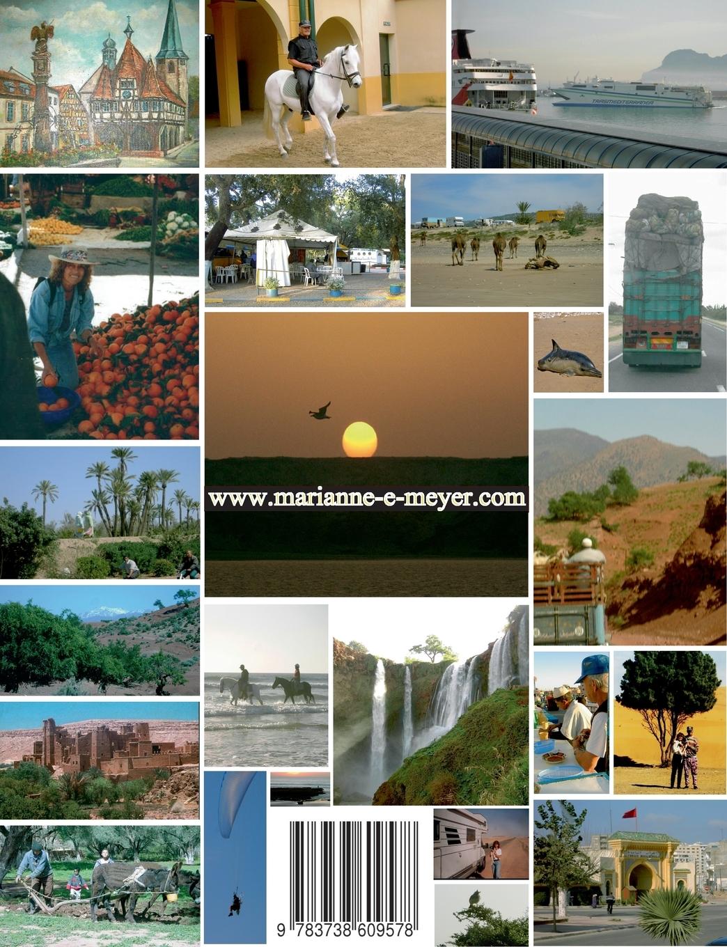 Rückseitencover Migrant Birds on Wheels