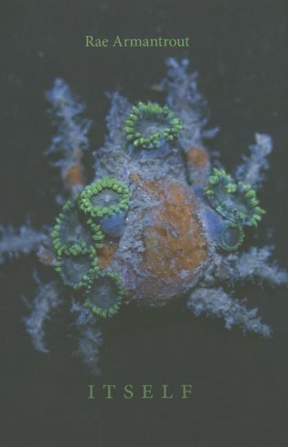 Vorderes Coverbild Itself