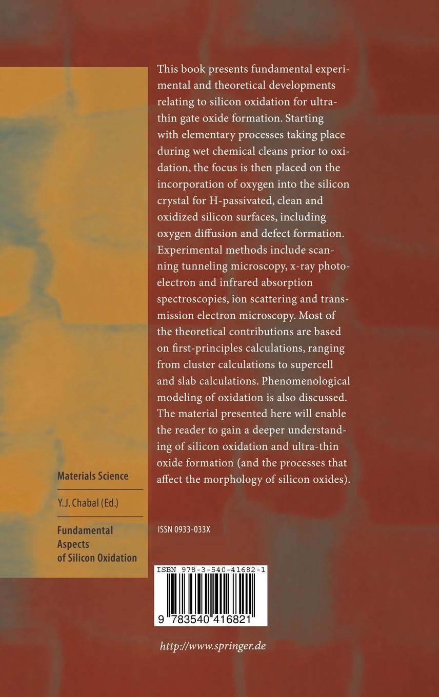 Rückseitencover Fundamental Aspects of Silicon Oxidation