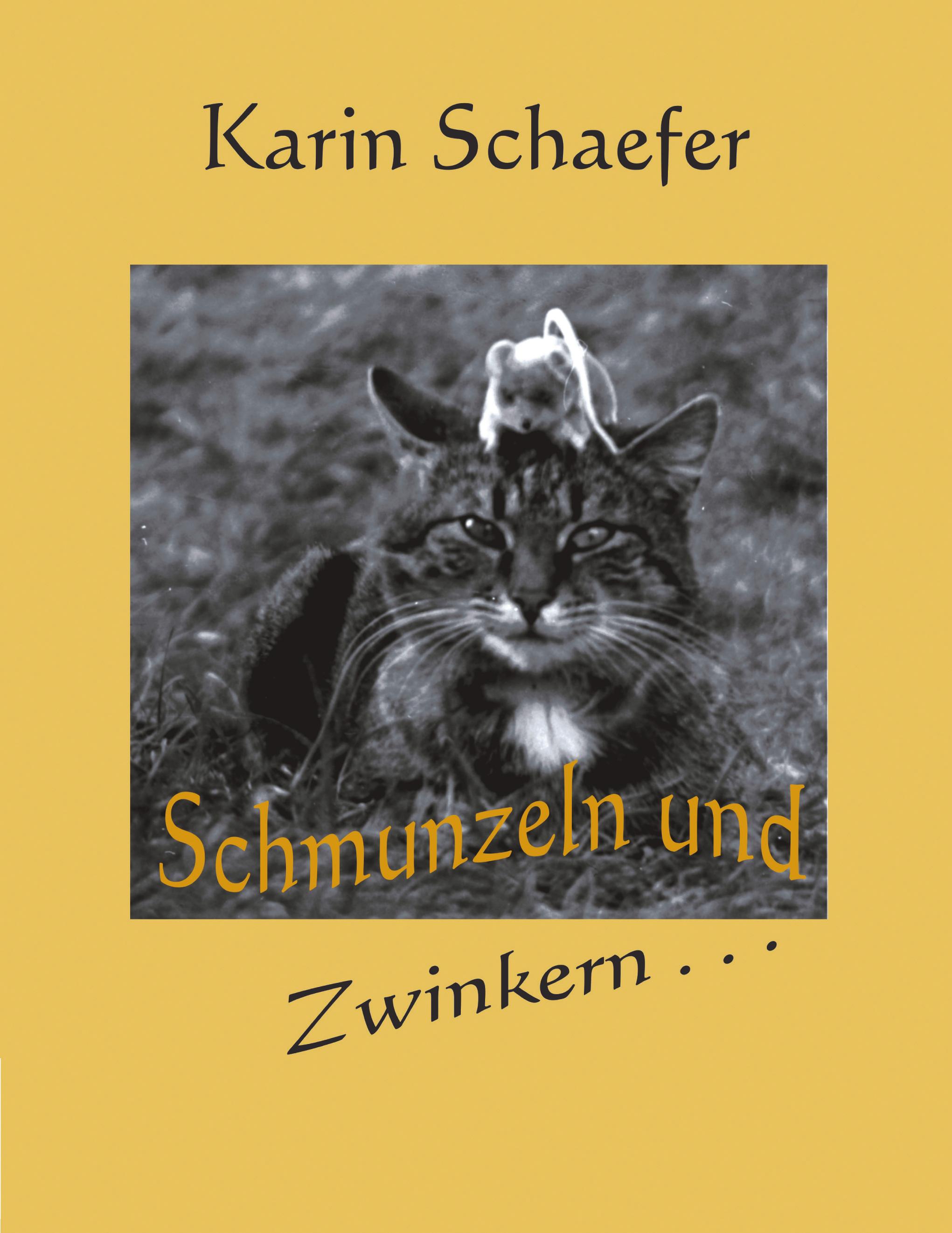 Vorderes Coverbild Schmunzeln und zwinkern ...