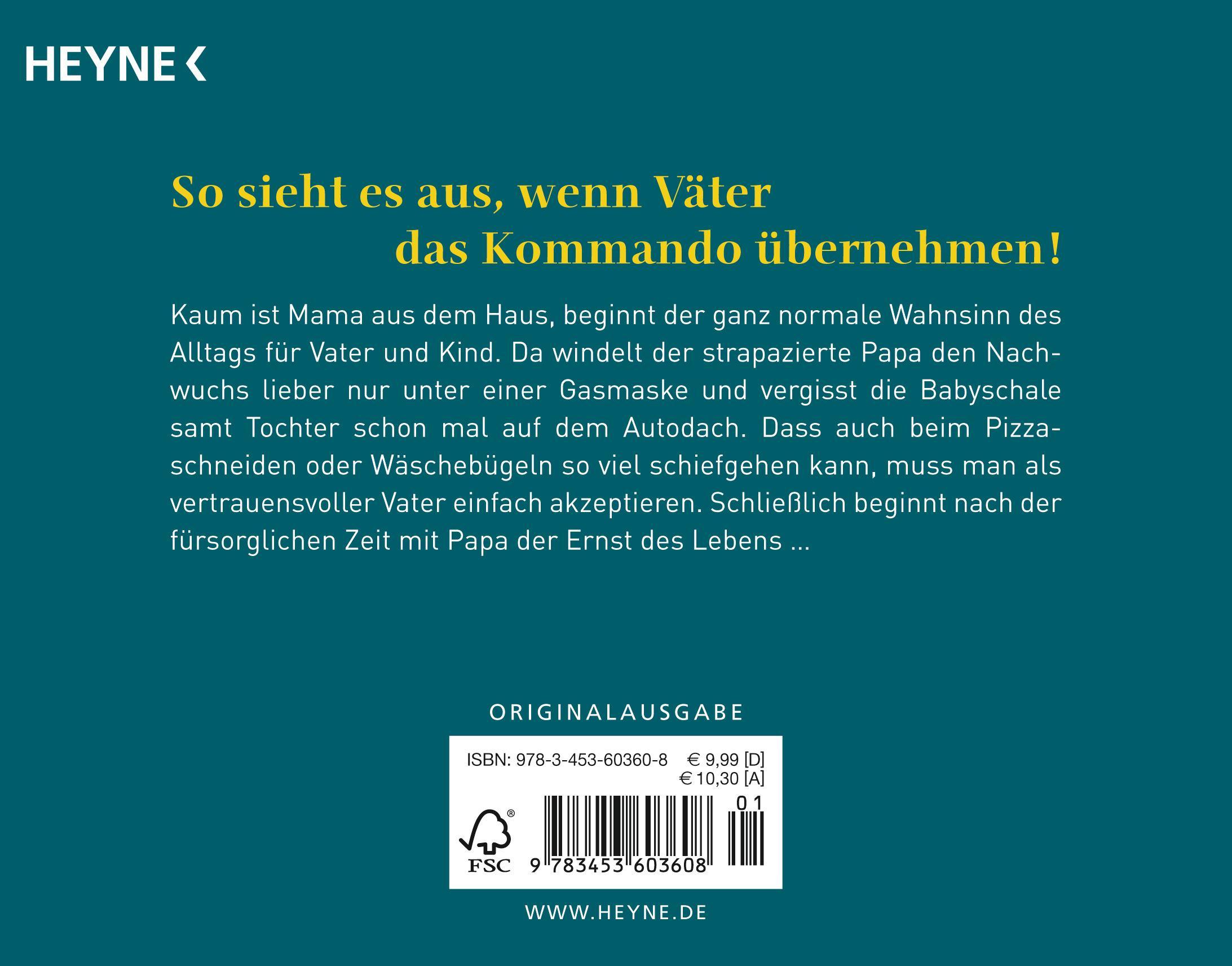 Rückseitencover Papa allein zu Haus