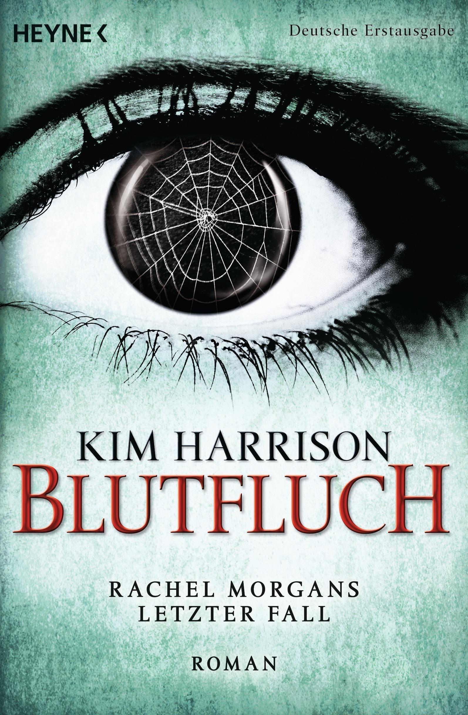 Vorderes Coverbild Blutfluch