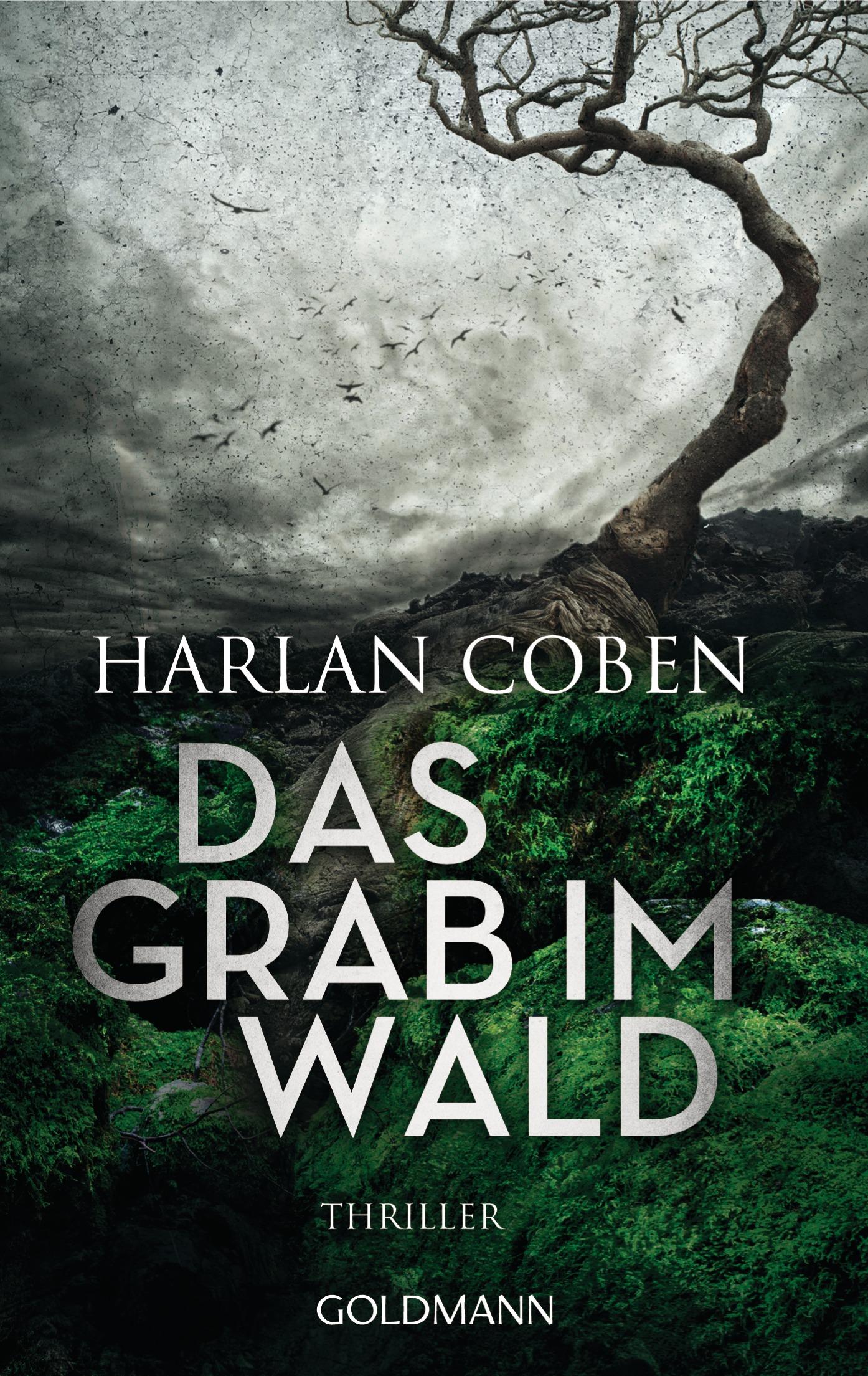 Vorderes Coverbild Das Grab im Wald