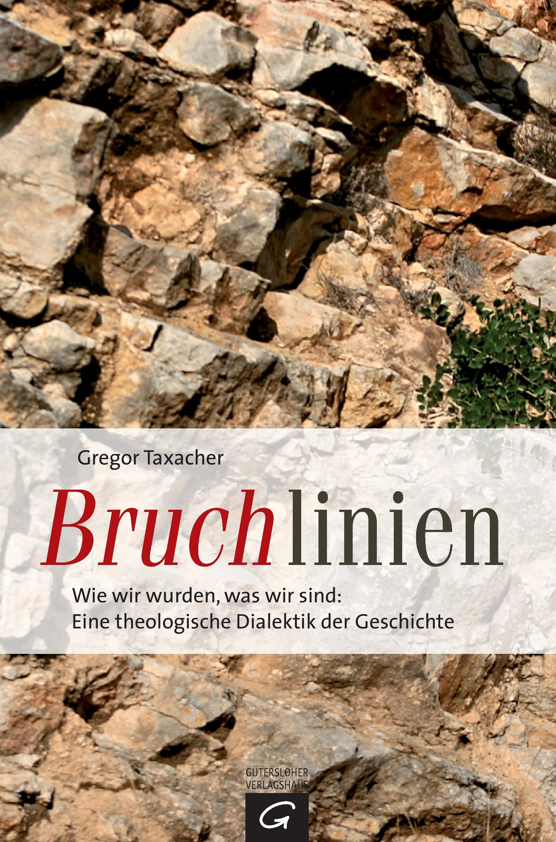 Vorderes Coverbild Bruchlinien