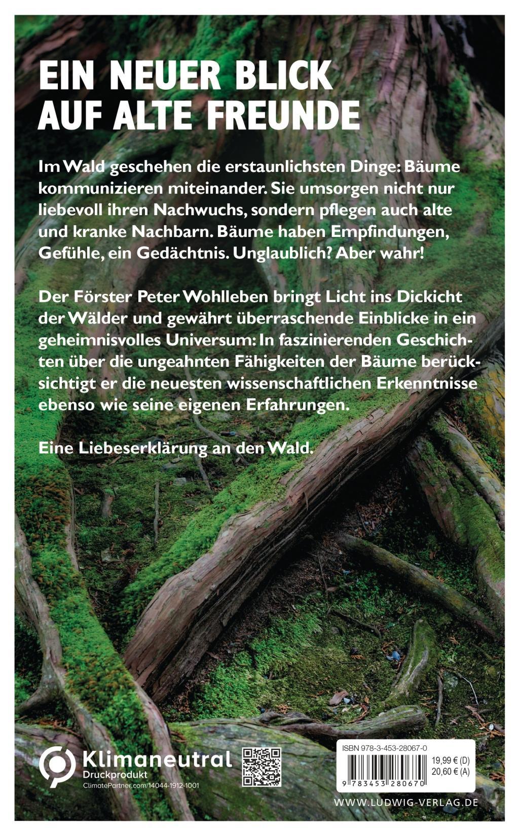 Beispielinhalt (Bild) Das geheime Leben der Bäume