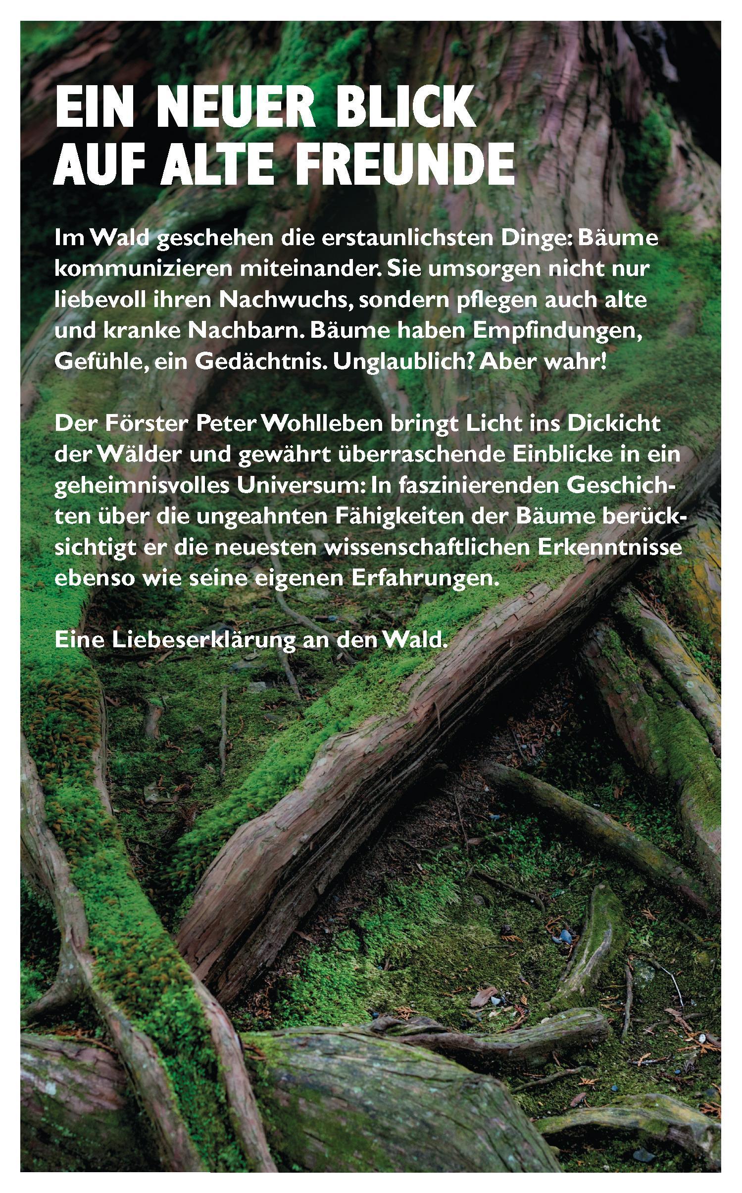 Rückseitencover Das geheime Leben der Bäume