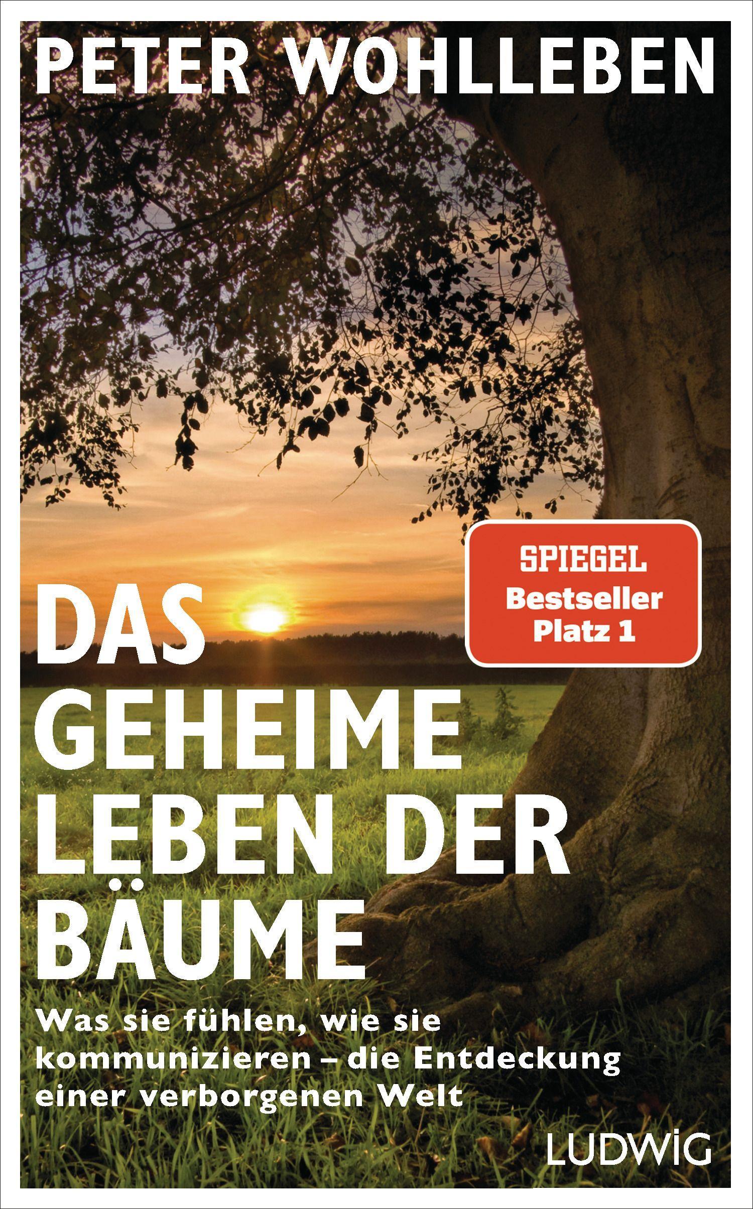 Vorderes Coverbild Das geheime Leben der Bäume