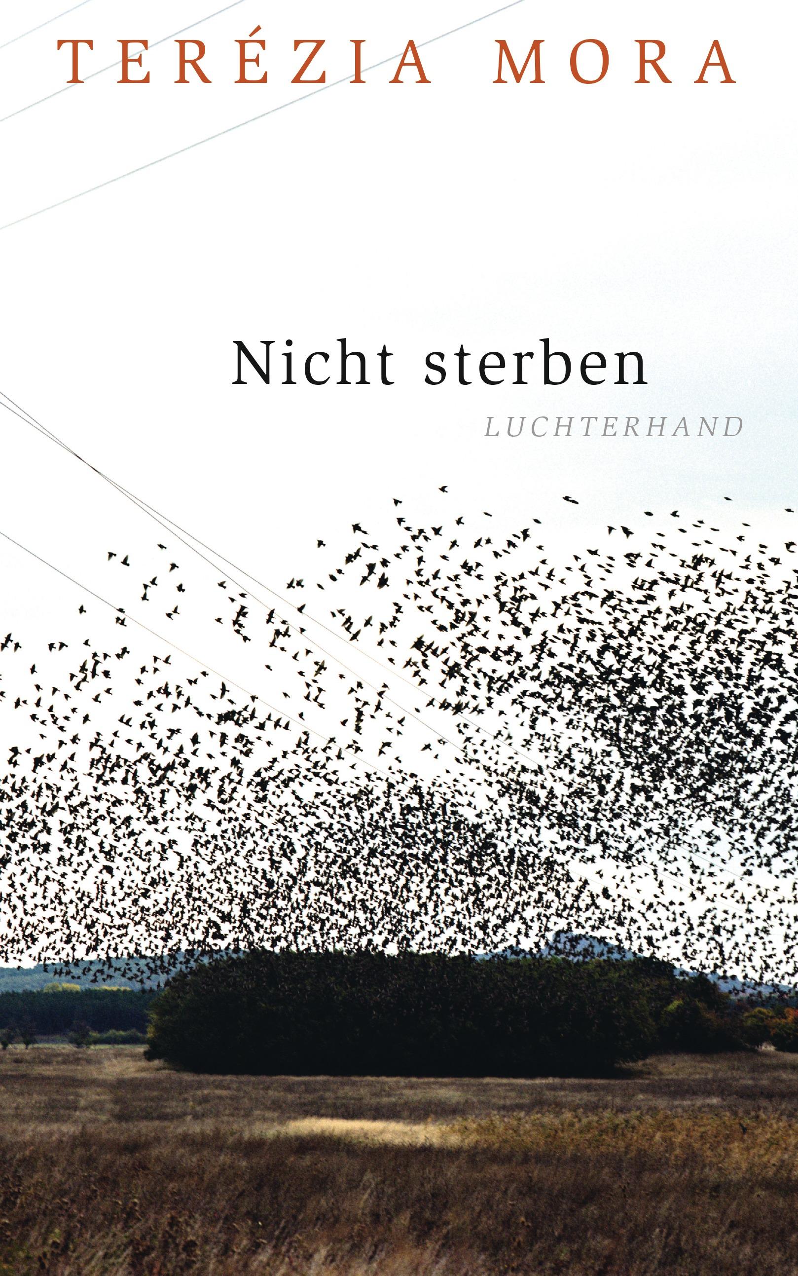 Vorderes Coverbild Nicht sterben