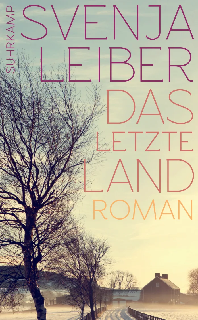 Vorderes Coverbild Das letzte Land