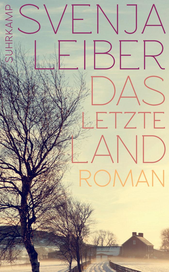 Vorderes Coverbild Das letzte Land