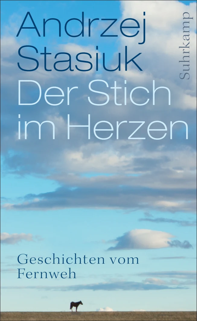 Vorderes Coverbild Der Stich im Herzen