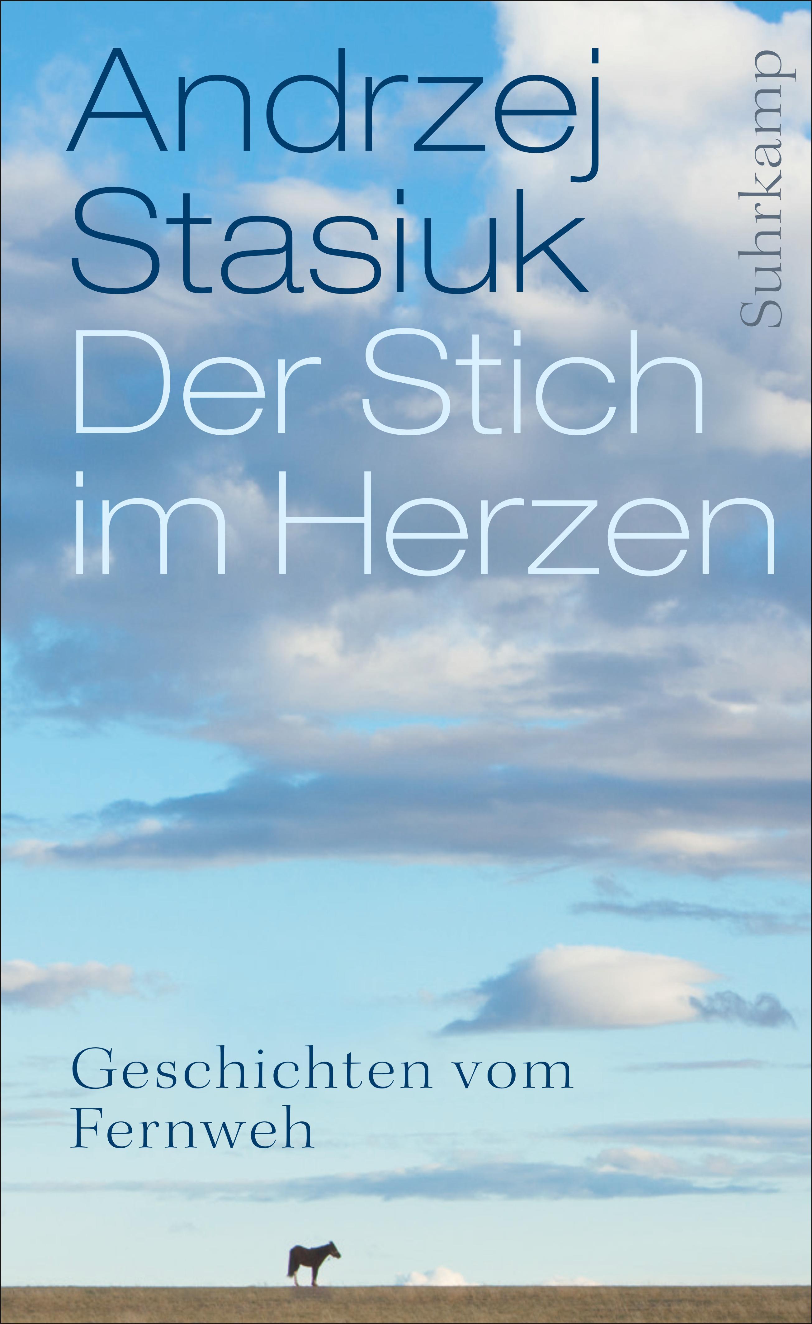 Vorderes Coverbild Der Stich im Herzen