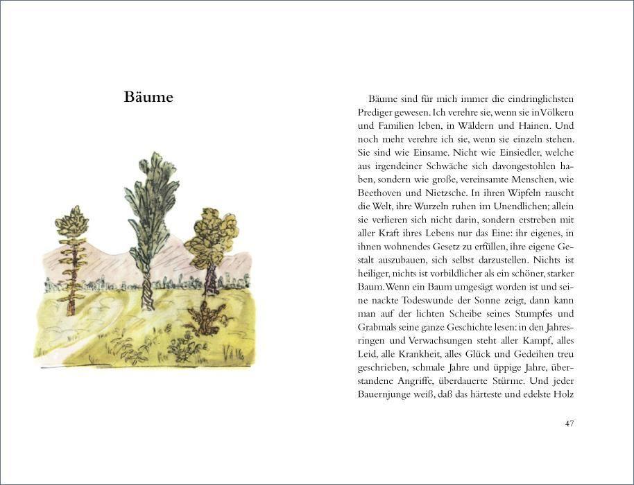 Beispielinhalt (Bild) Wanderung