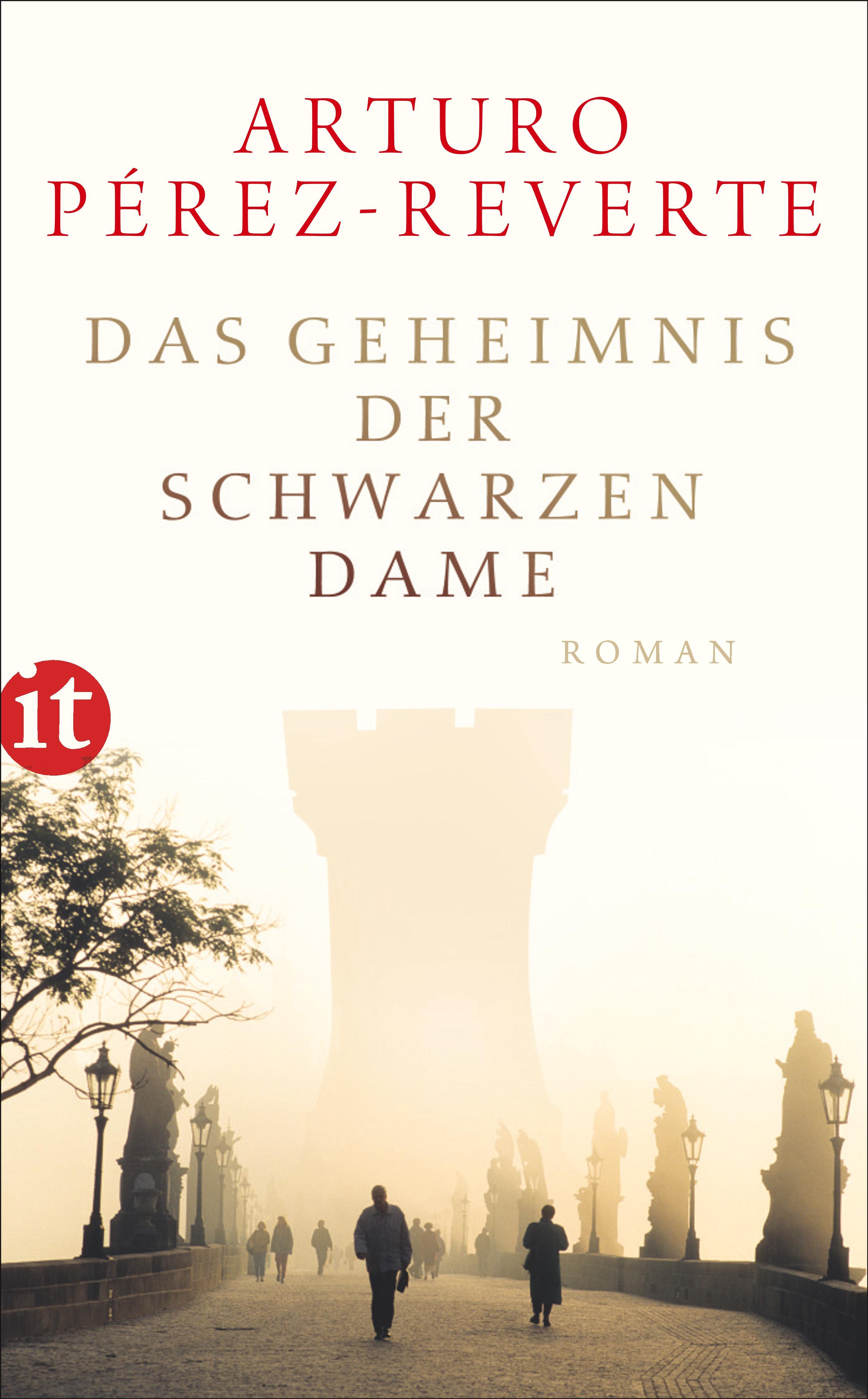 Vorderes Coverbild Das Geheimnis der schwarzen Dame