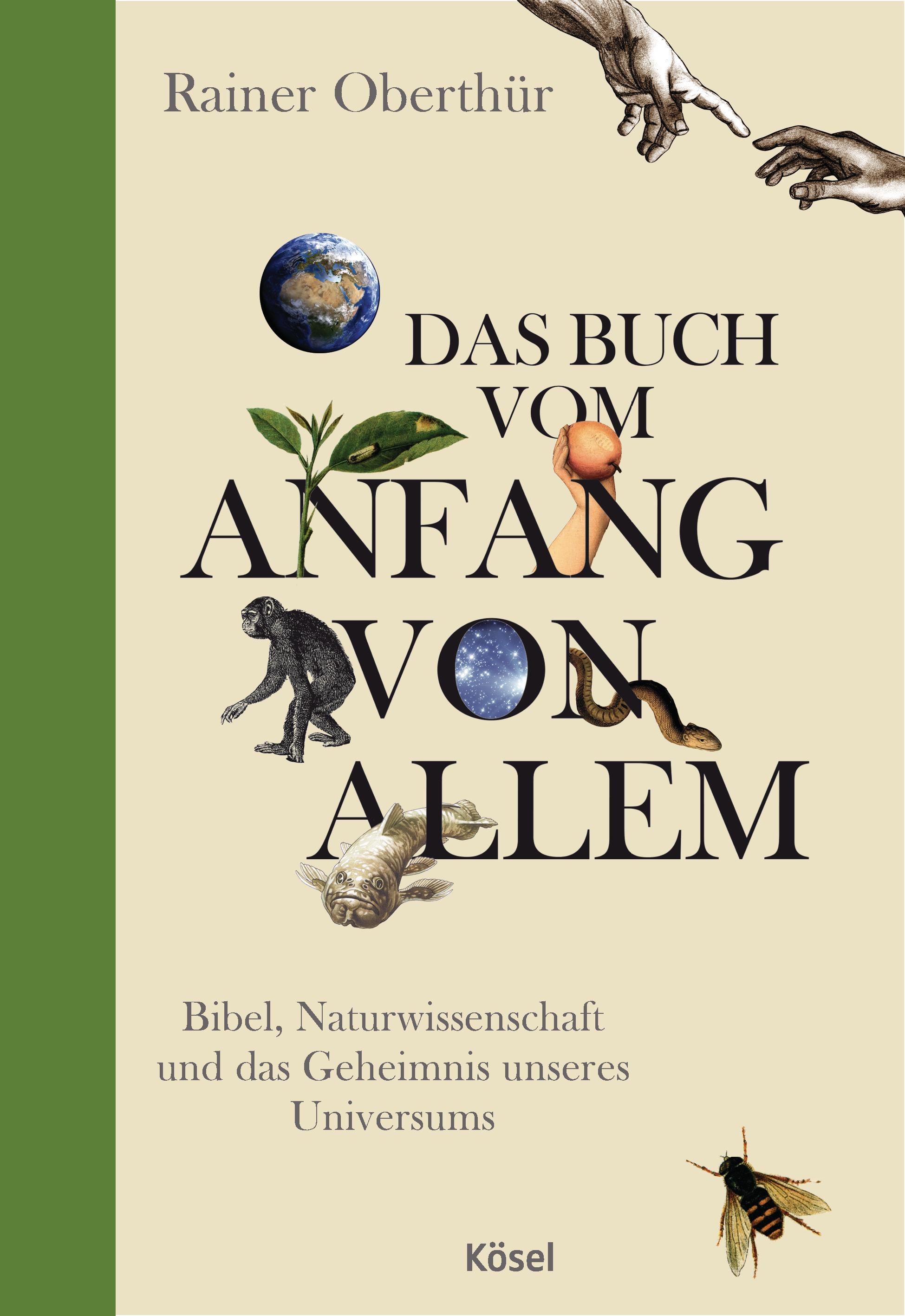 Vorderes Coverbild Das Buch vom Anfang von allem