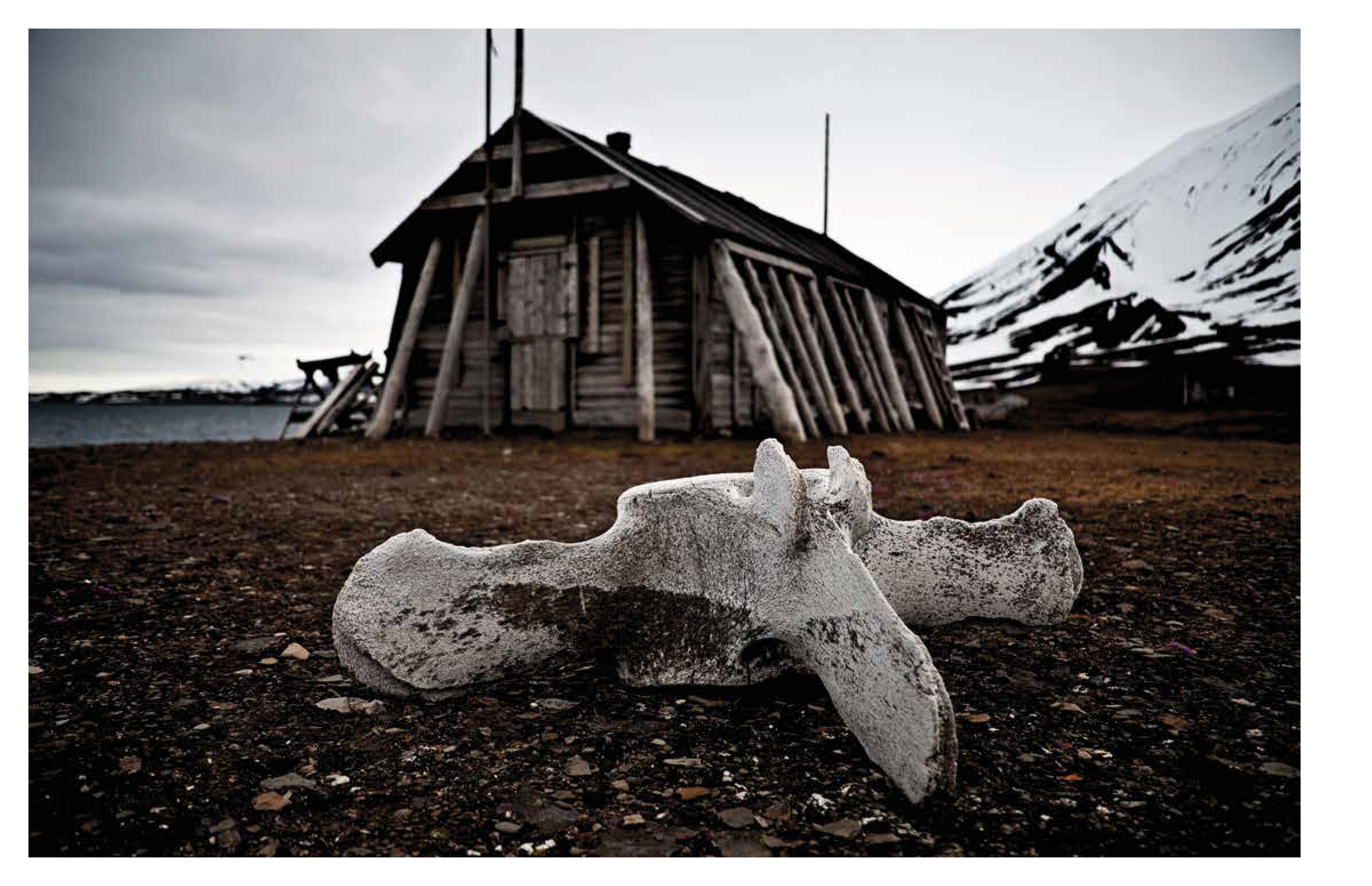 Beispielinhalt (Bild) Vom Ende der Ewigkeit