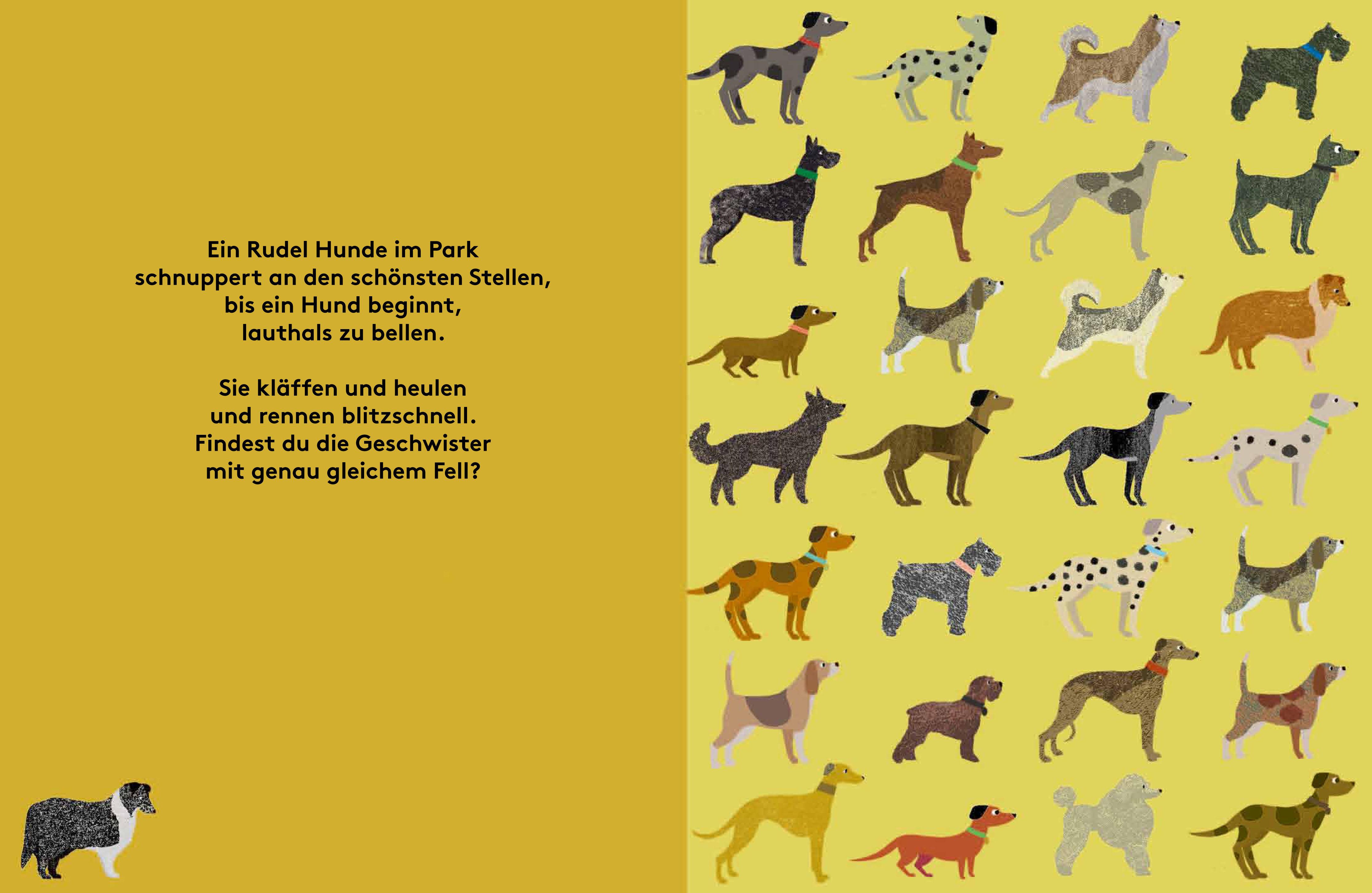 Beispielinhalt (Bild) Wir gehören zusammen!