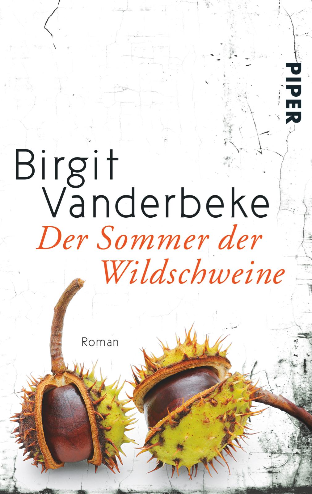 Vorderes Coverbild Der Sommer der Wildschweine