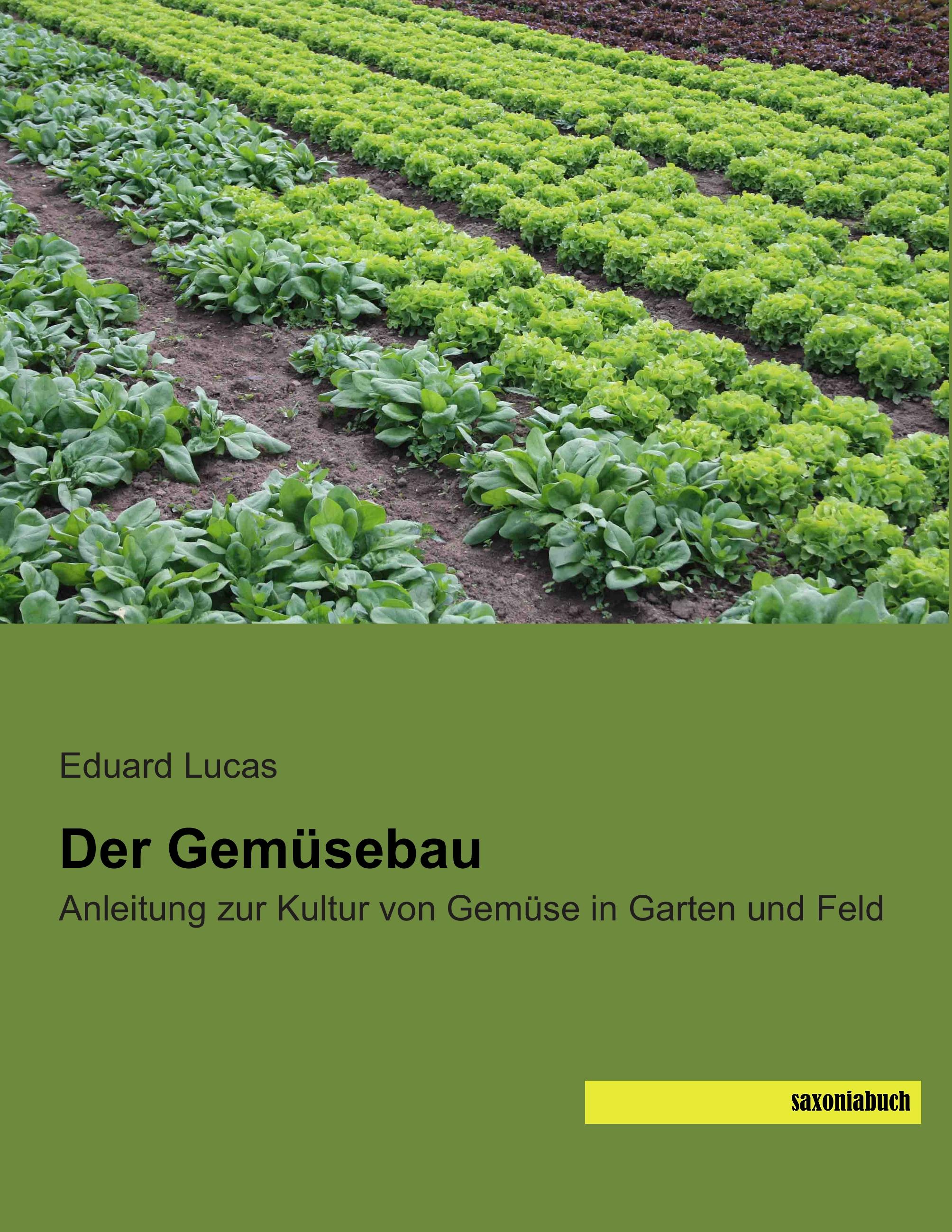 Vorderes Coverbild Der Gemüsebau