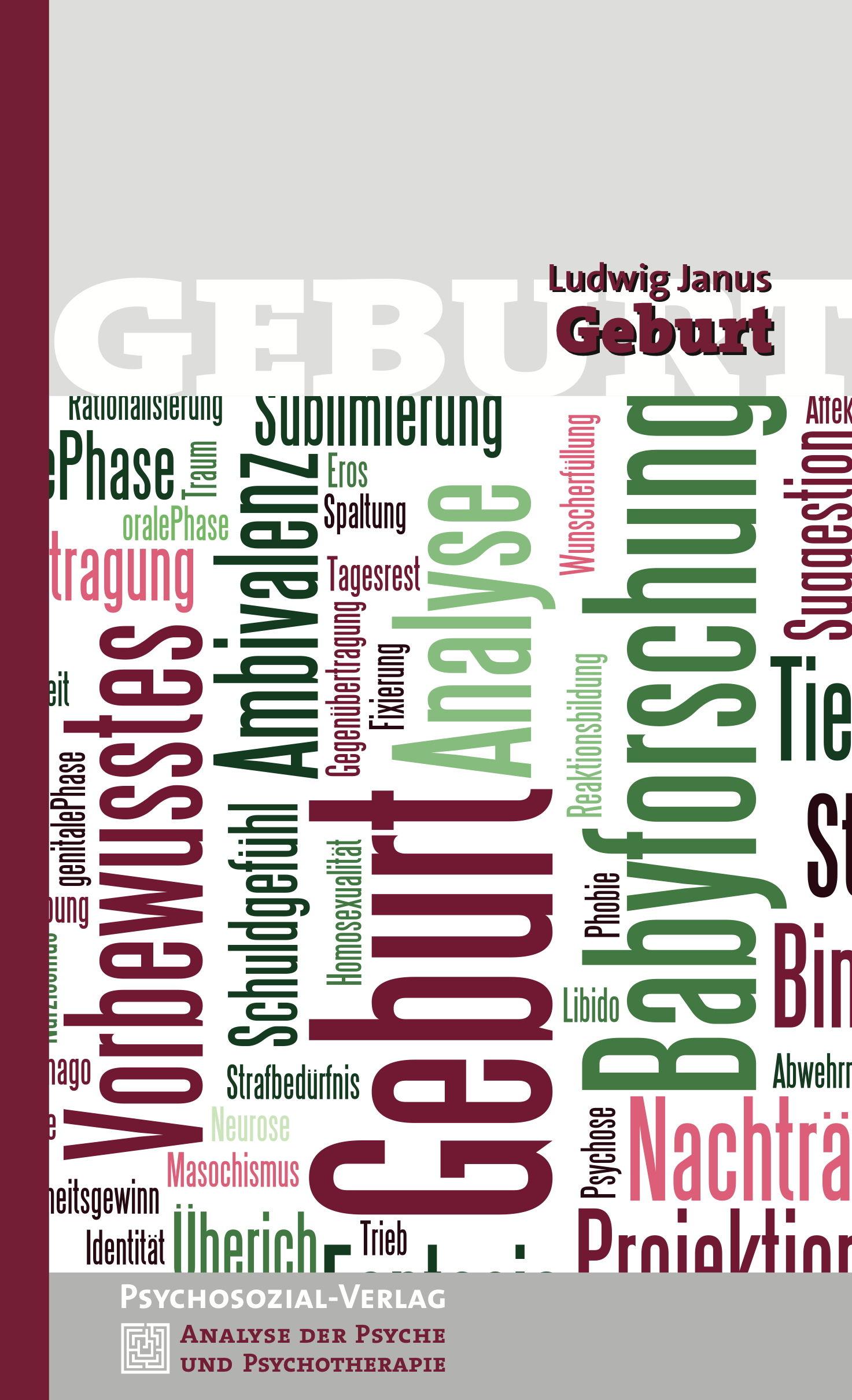 Vorderes Coverbild Geburt