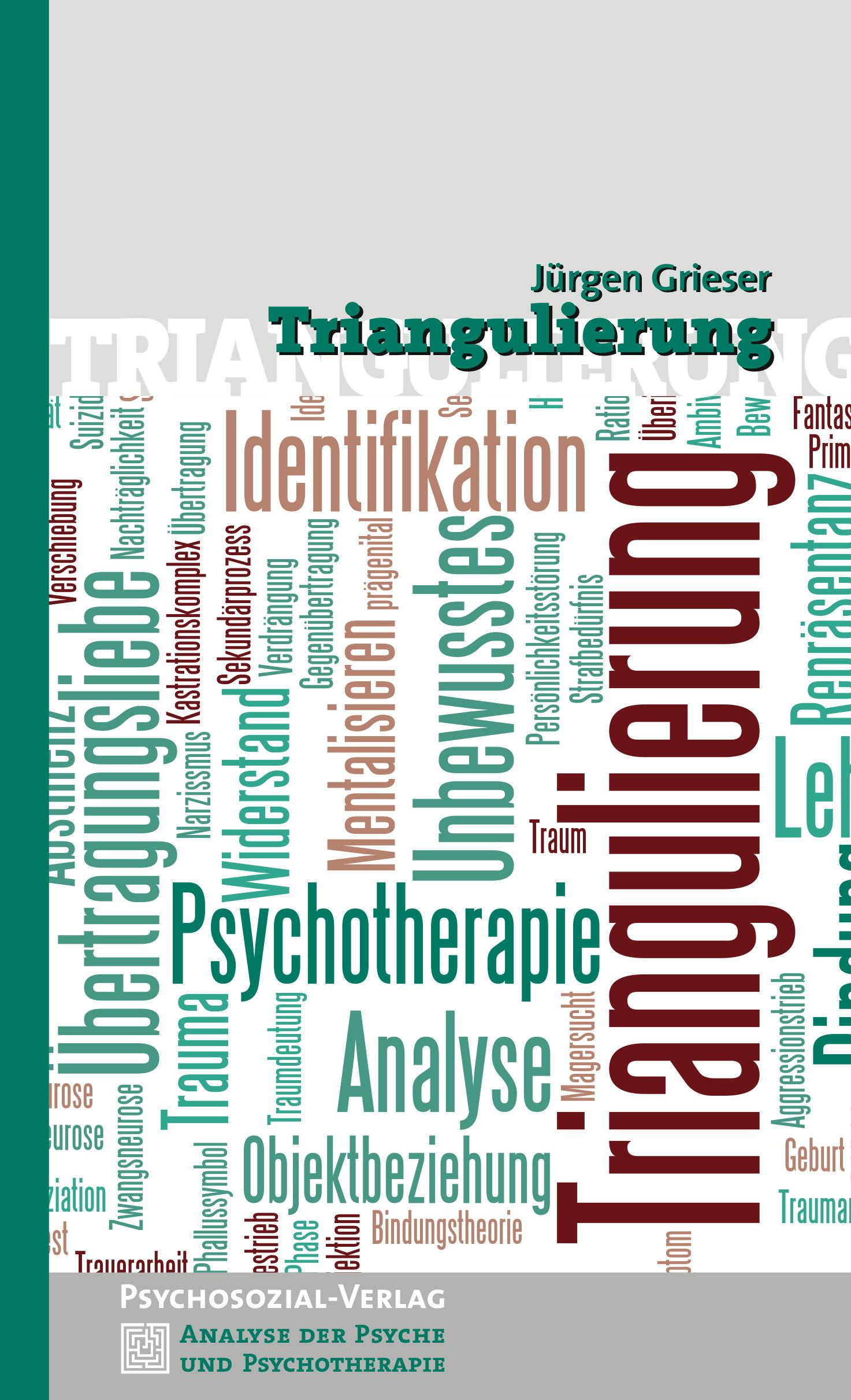 Vorderes Coverbild Triangulierung