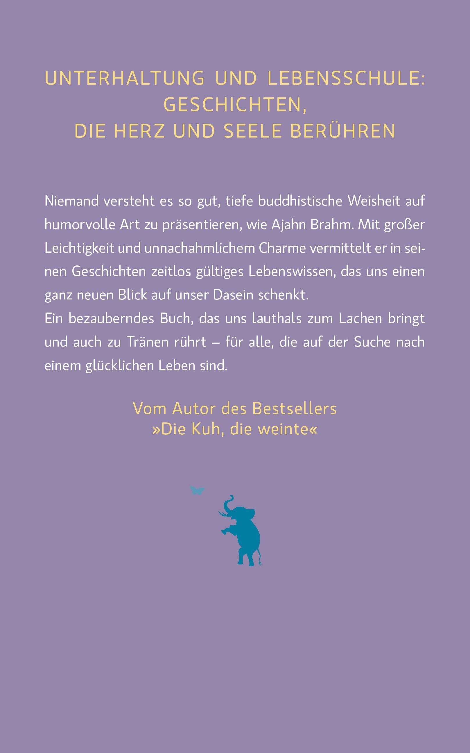 Rückseitencover Der Elefant, der das Glück vergaß