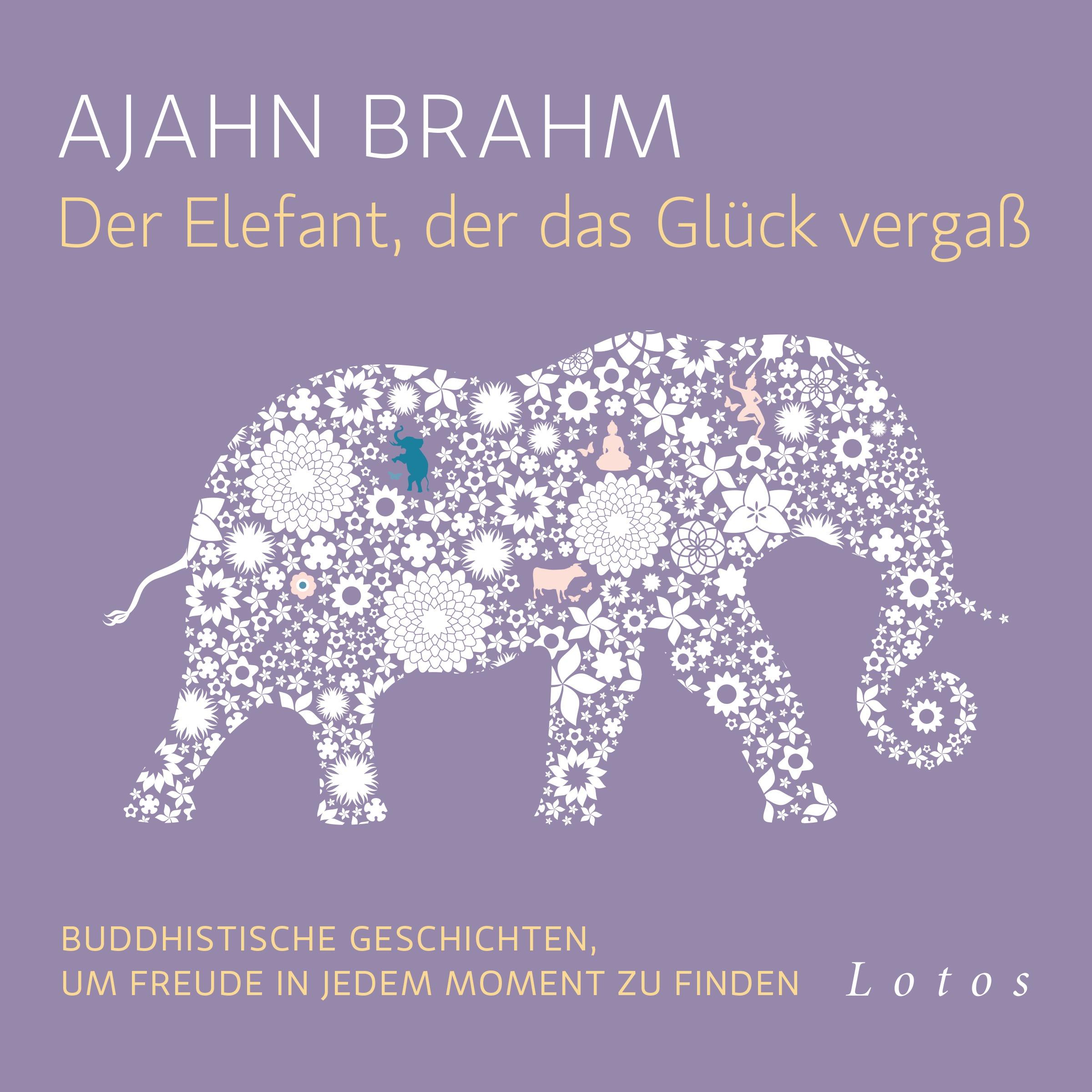 Vorderes Coverbild Der Elefant, der das Glück vergaß (6 CDs)