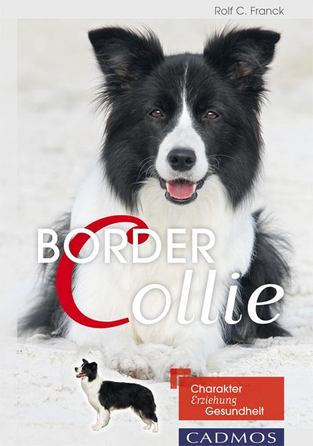 Vorderes Coverbild Border Collie