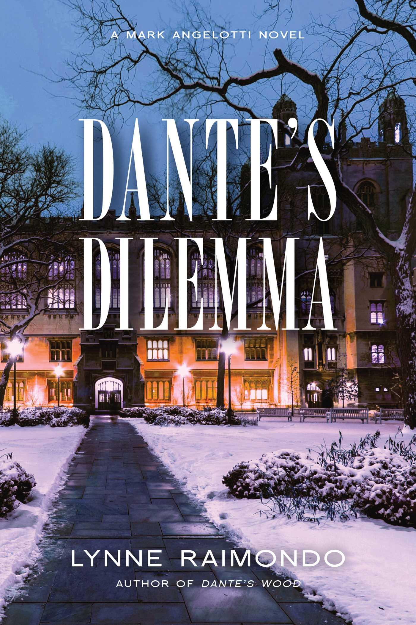 Vorderes Coverbild Dante's Dilemma