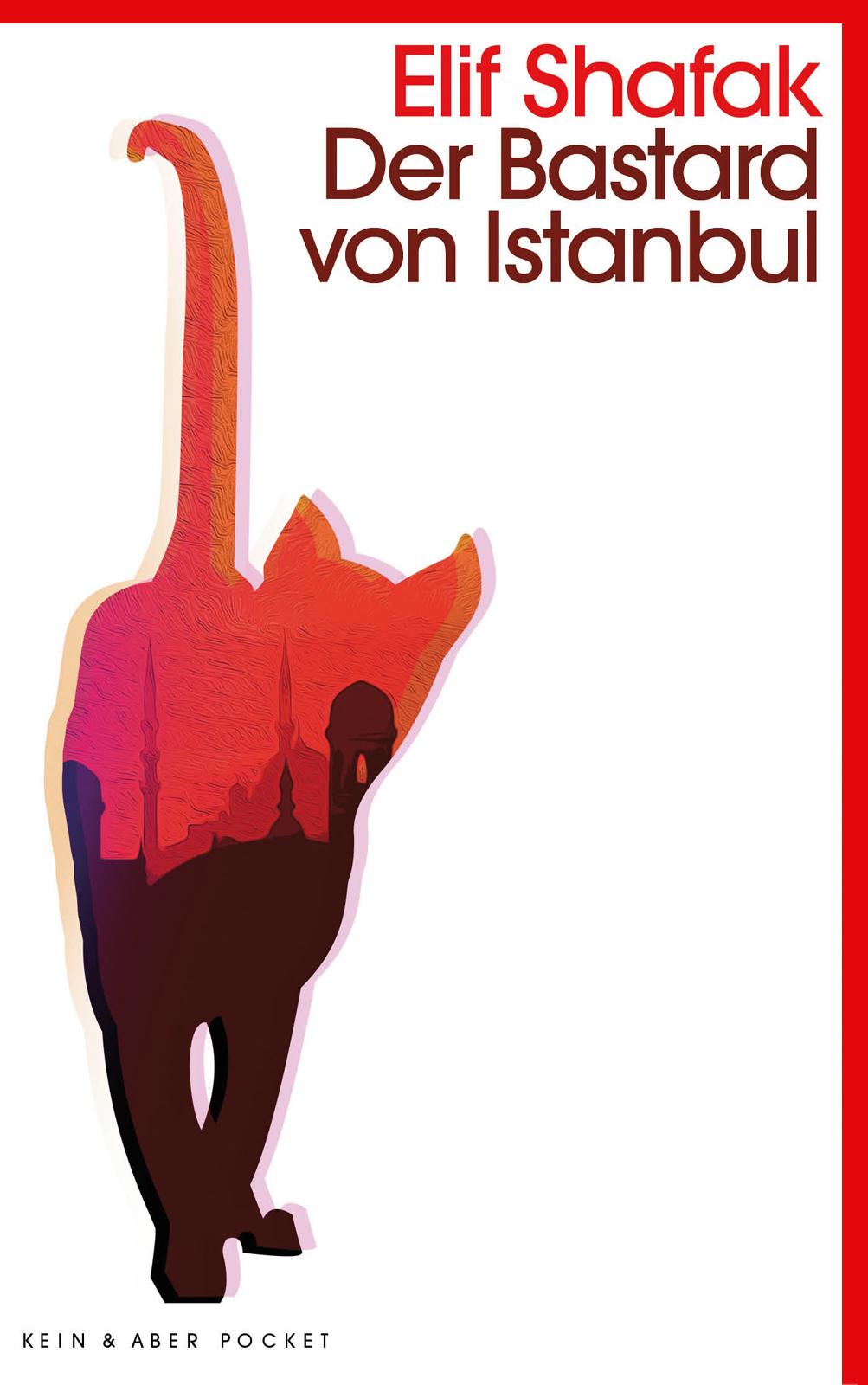 Vorderes Coverbild Der Bastard von Istanbul