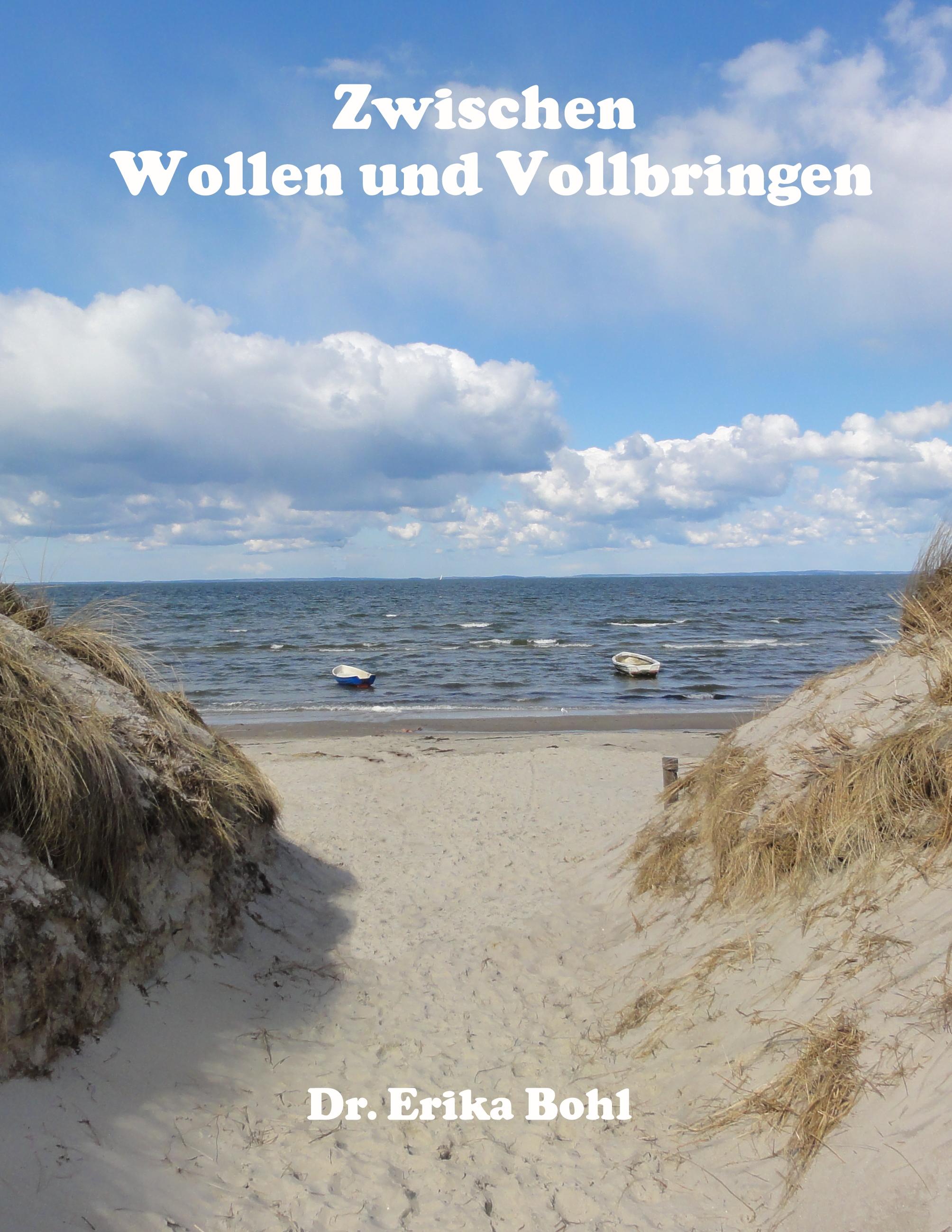Vorderes Coverbild Zwischen Wollen und Vollbringen