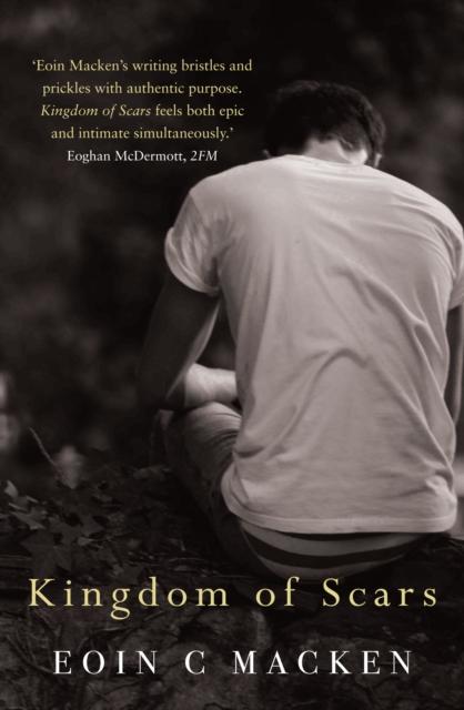 Vorderes Coverbild Kingdom of Scars