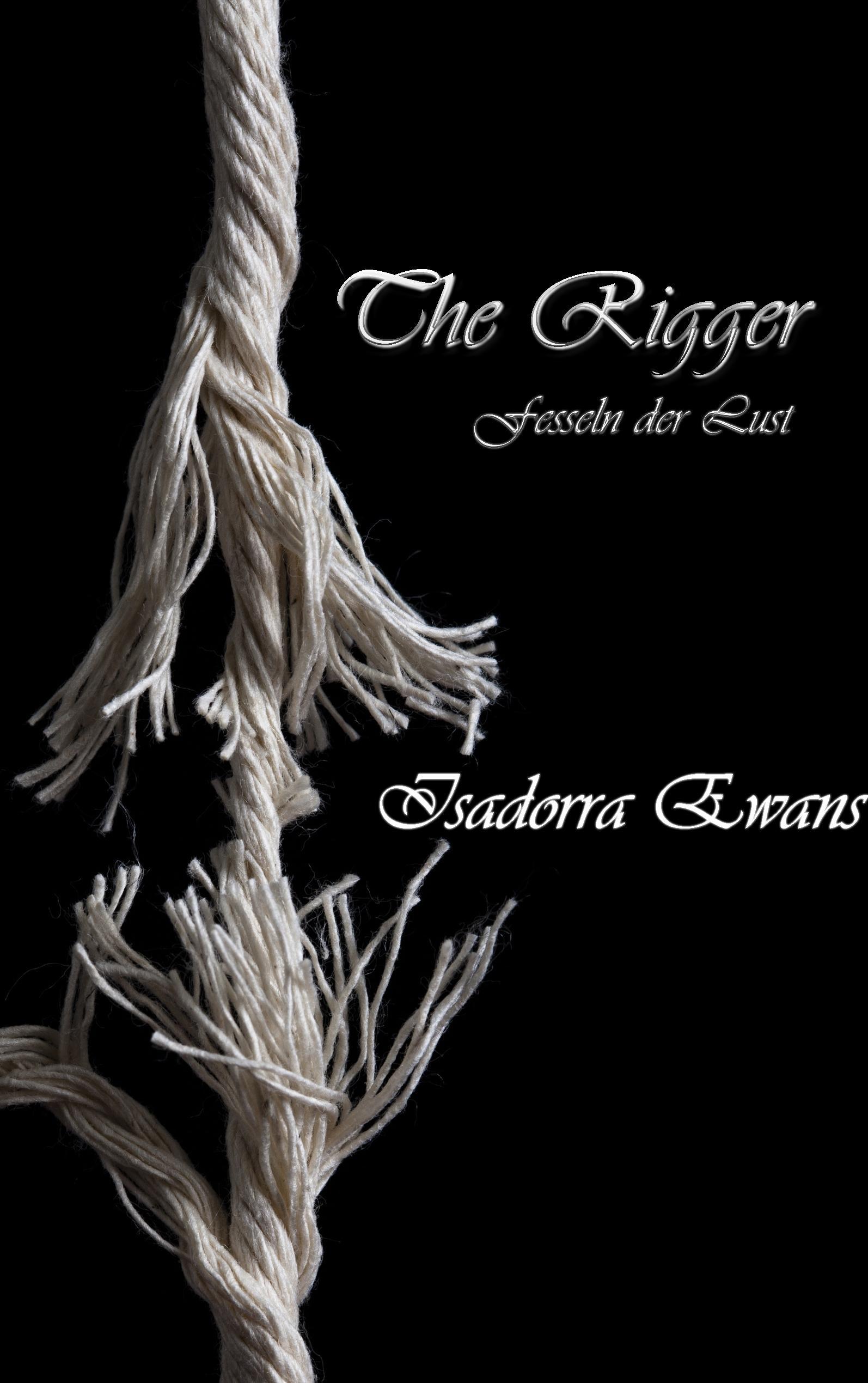 Vorderes Coverbild The Rigger
