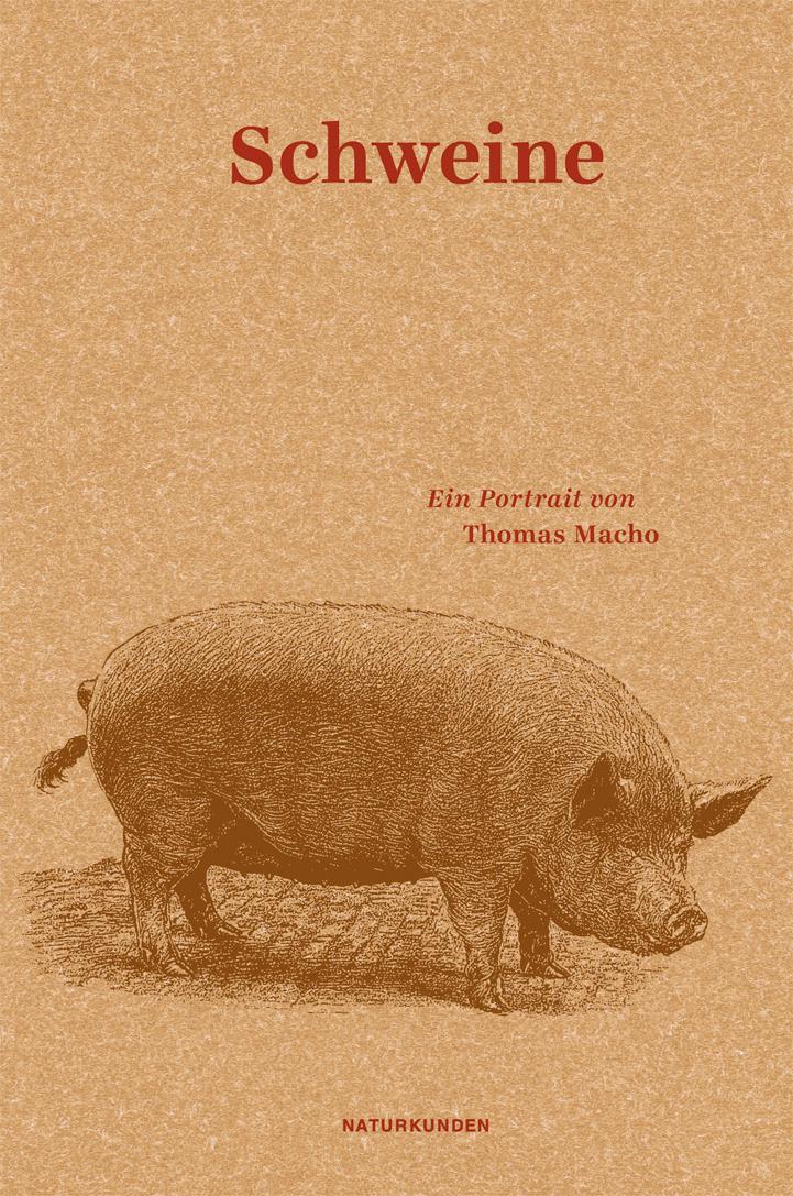Vorderes Coverbild Schweine