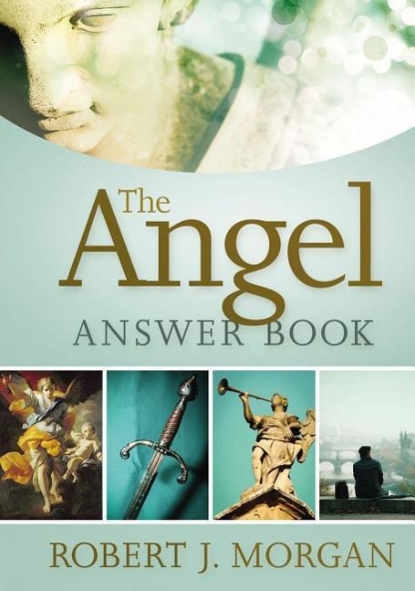 Vorderes Coverbild The Angel Answer Book