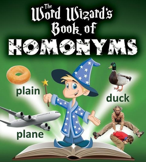 Vorderes Coverbild The Word Wizard's Book of Homonyms