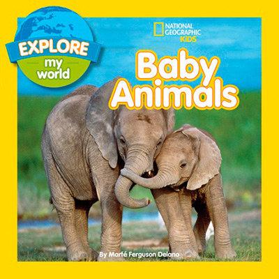 Vorderes Coverbild Explore My World: Baby Animals